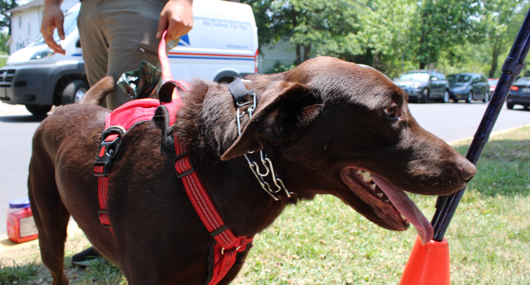 Homebuyer Spotlight: Four-Legged Friend Attests to College Park’s Transit